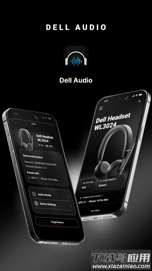 Dell Audio 软件最新版截图2