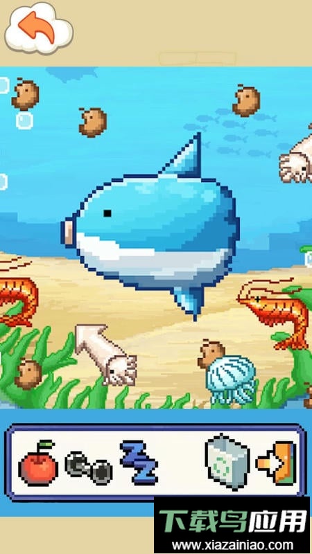 养只小鲨鱼最新版截图2