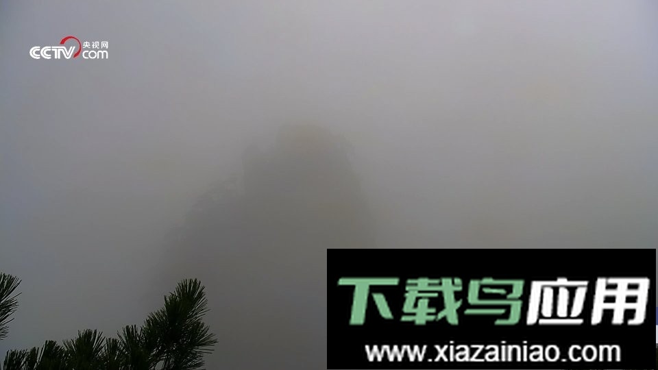 秒看tv软件电视版最新版截图2