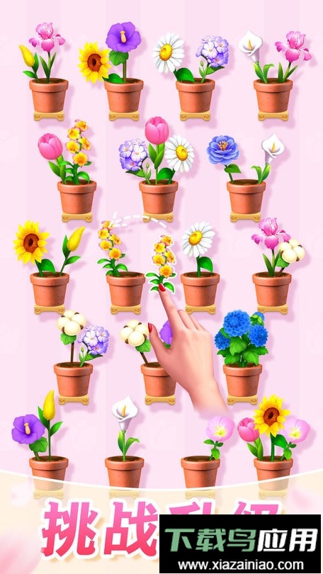 插花消除小游戏最新版截图4