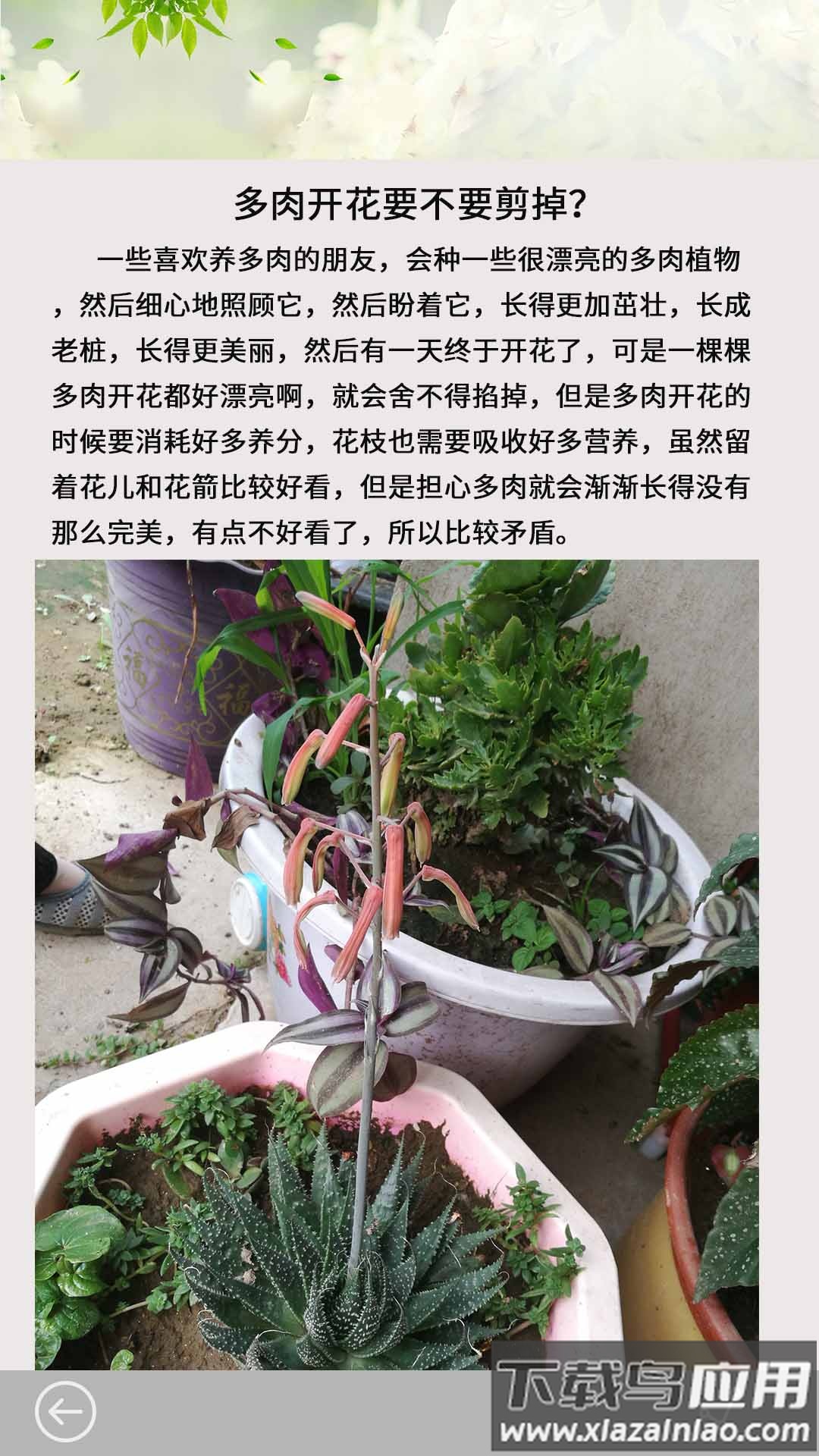 多肉花草成长日记APP最新版截图5