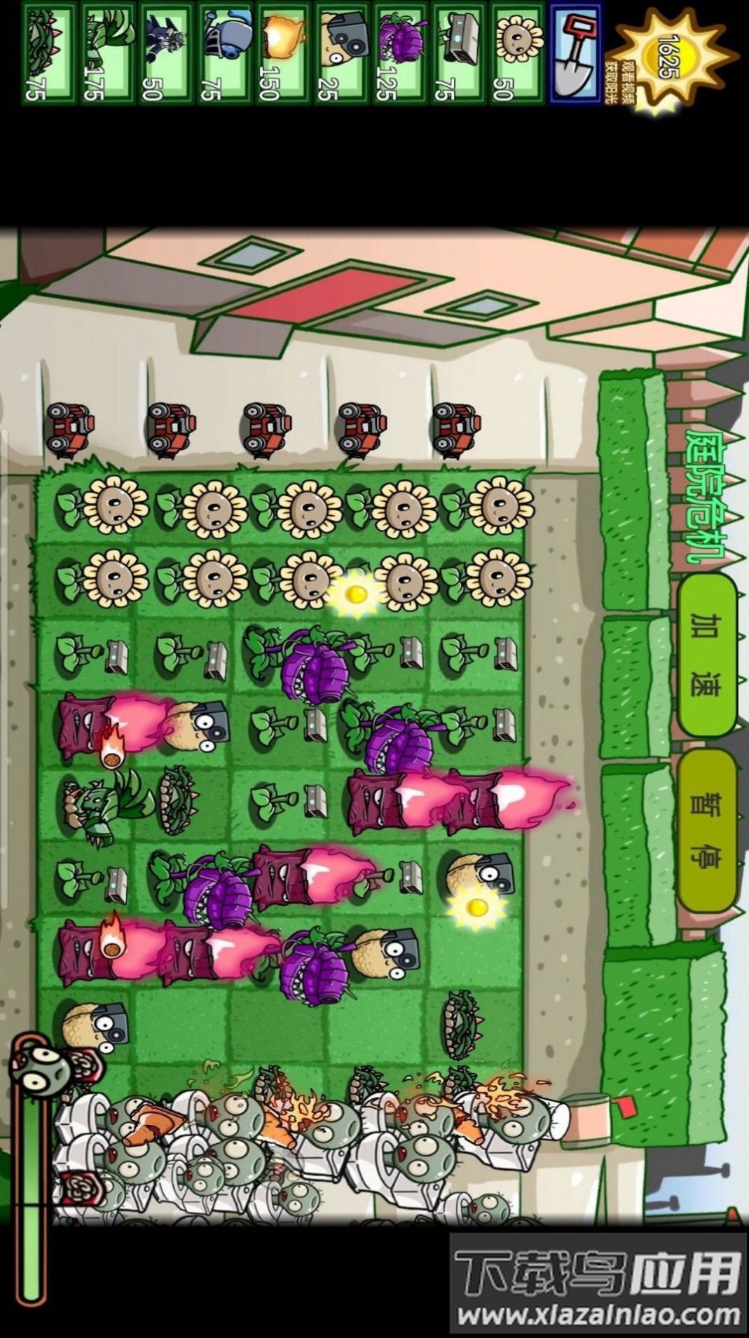 植物僵尸大对决游戏截图1