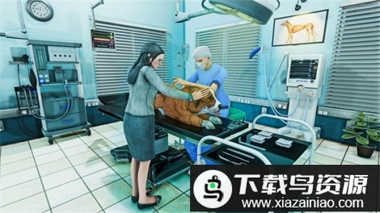 宠物手术模拟器手游最新版截图2