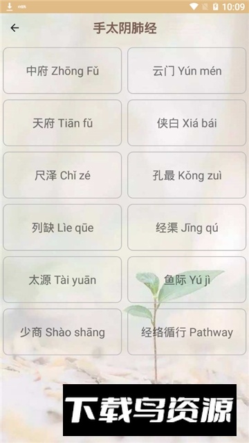 人体穴位图解大全2025手机版最新版截图2