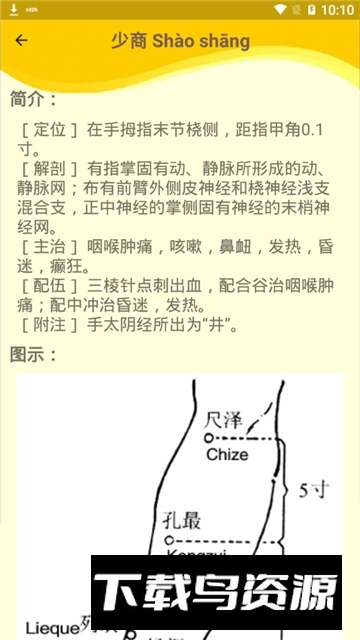 人体穴位图解大全2025手机版最新版截图3