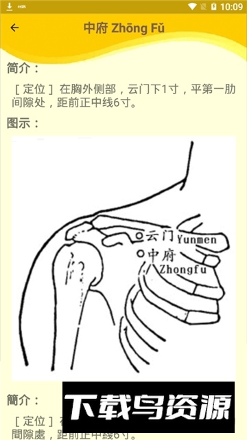 人体穴位图解大全2025手机版最新版截图5