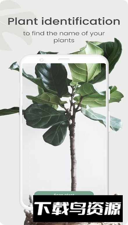 Planta软件安卓版最新版截图5