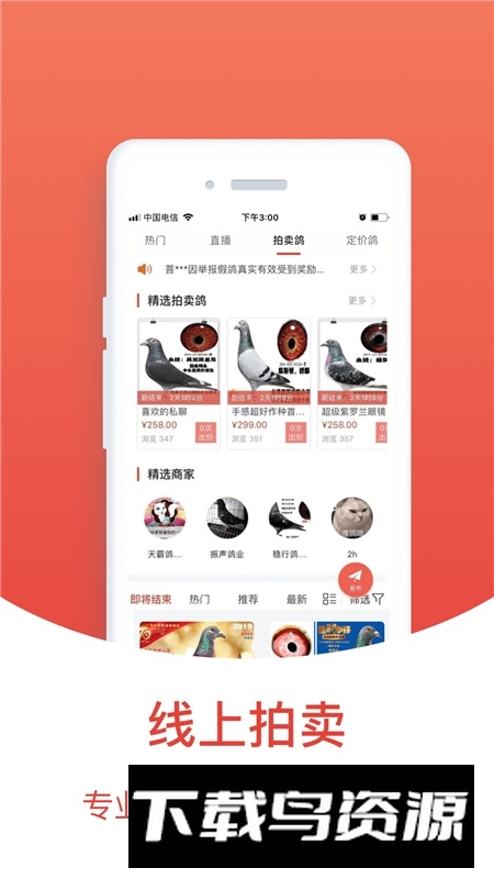 搜鸽天下赛鸽头条app官方版最新版本最新版截图4