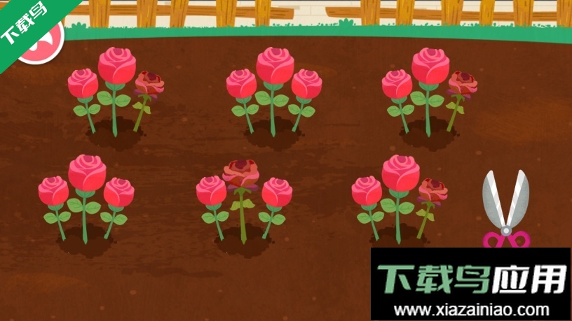 奇妙鲜花房免费下载安装最新版截图6