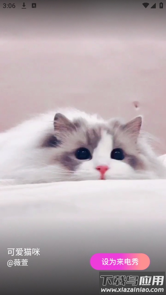 哈皮秀铃声软件截图4