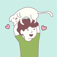 Where is My Cat寻找猫游戏最新版