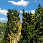 康养漳县安卓客户端