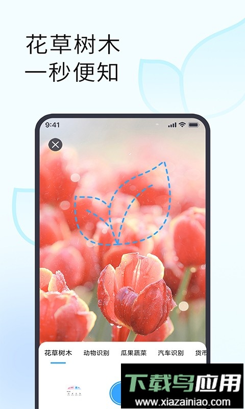手机拍照识别植物截图2