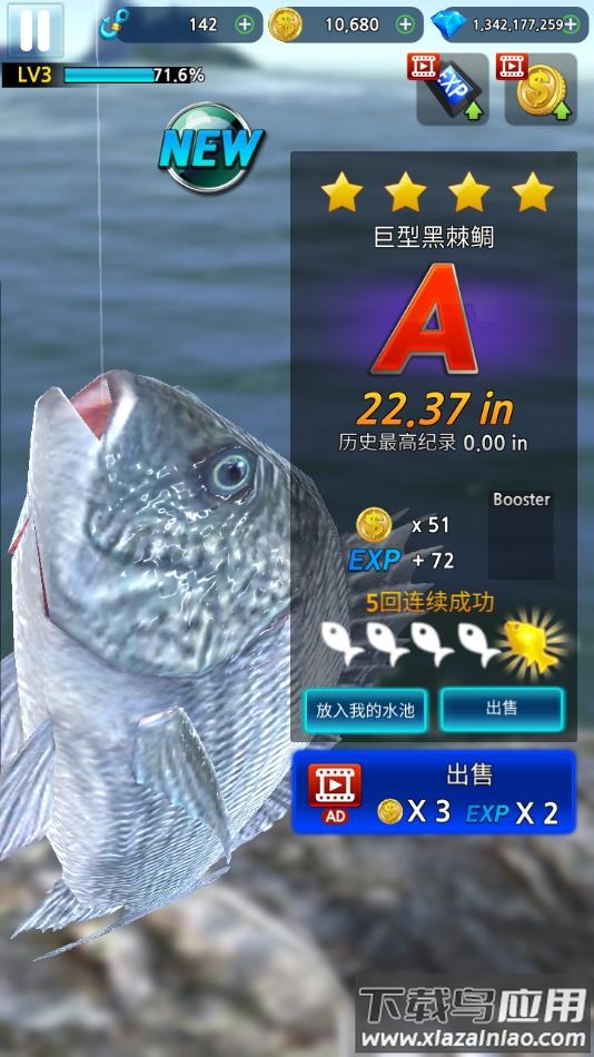 怪鱼猎人2022游戏下载最新版截图1