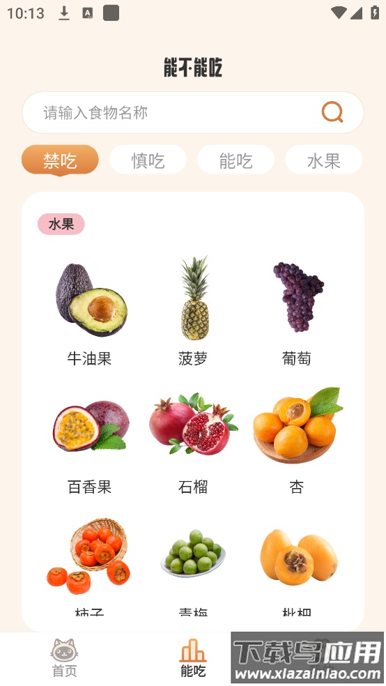 小猫陪伴手册app最新版截图2