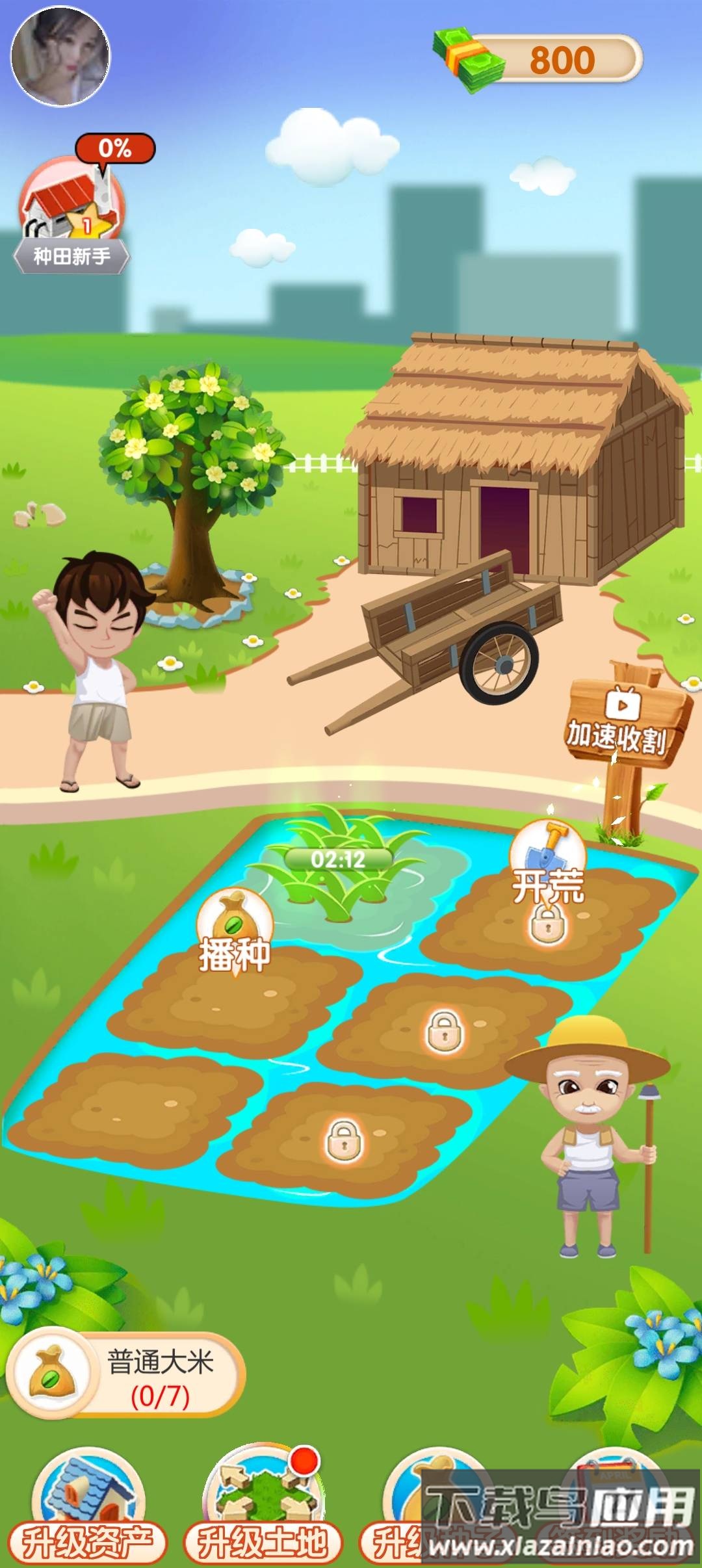 大米刷刷乐游戏最新版截图1