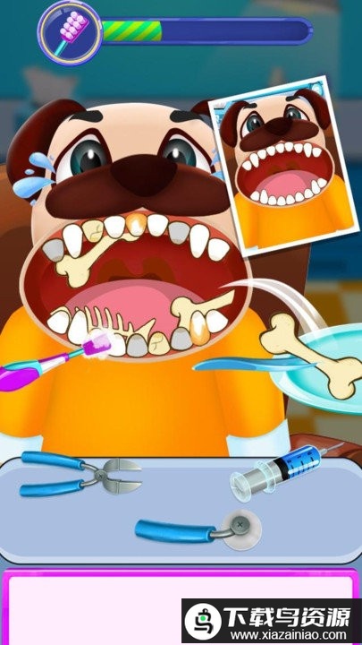 动物牙齿医院游戏最新版截图3