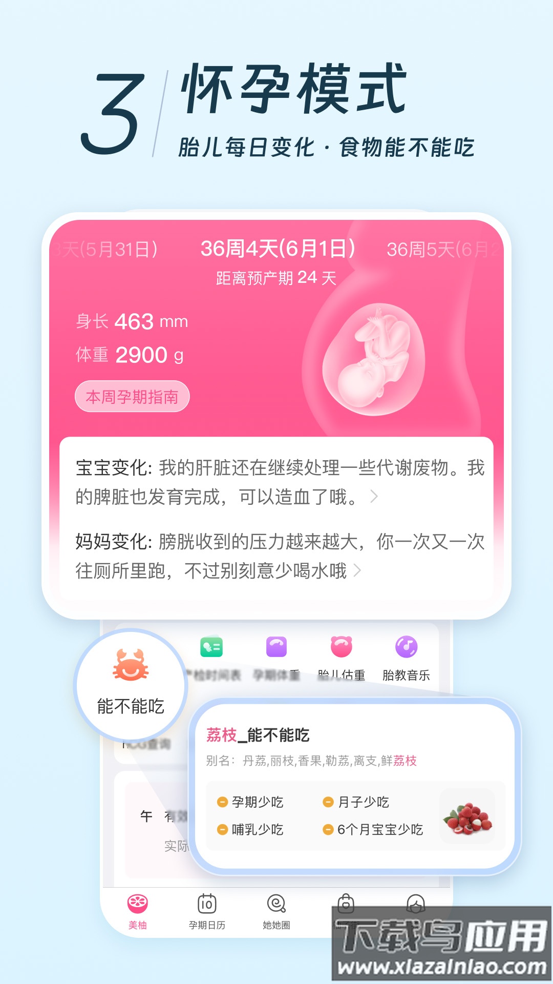 美柚备孕app截图4