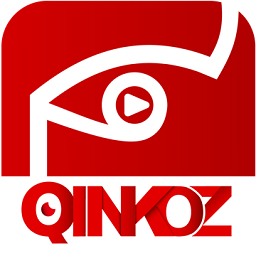 qinkoz软件