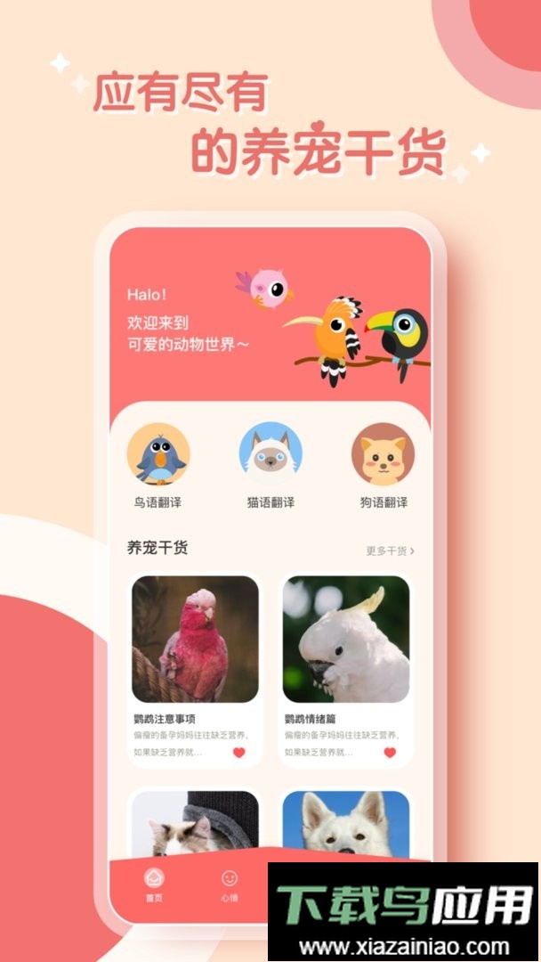 鸟语翻译器app最新版截图3