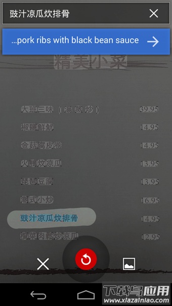 全屏翻译软件app最新版截图4