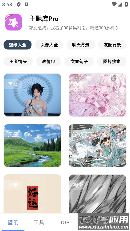 主题库pro最新版本截图4