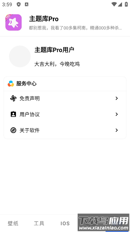 主题库pro最新版本截图5