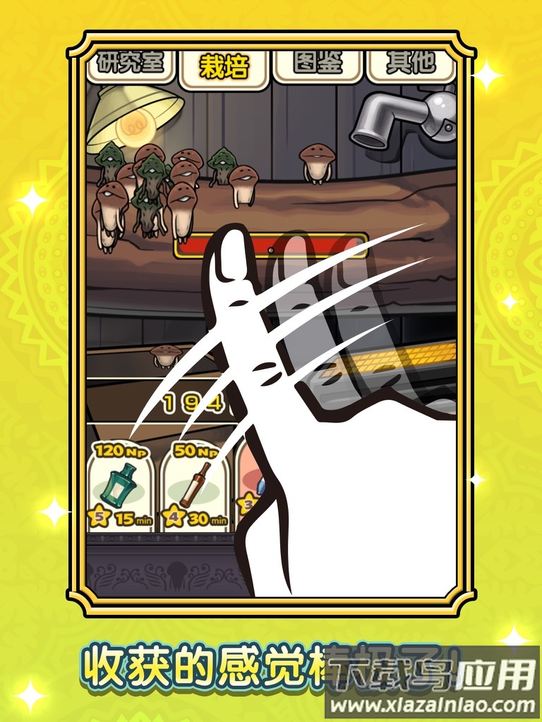 蘑菇花园hd游戏最新版截图1