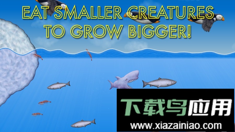 美味海洋鲨鱼版游戏截图3