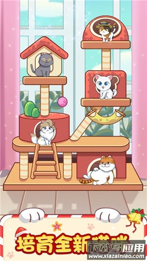 招财猫舍app最新版截图1