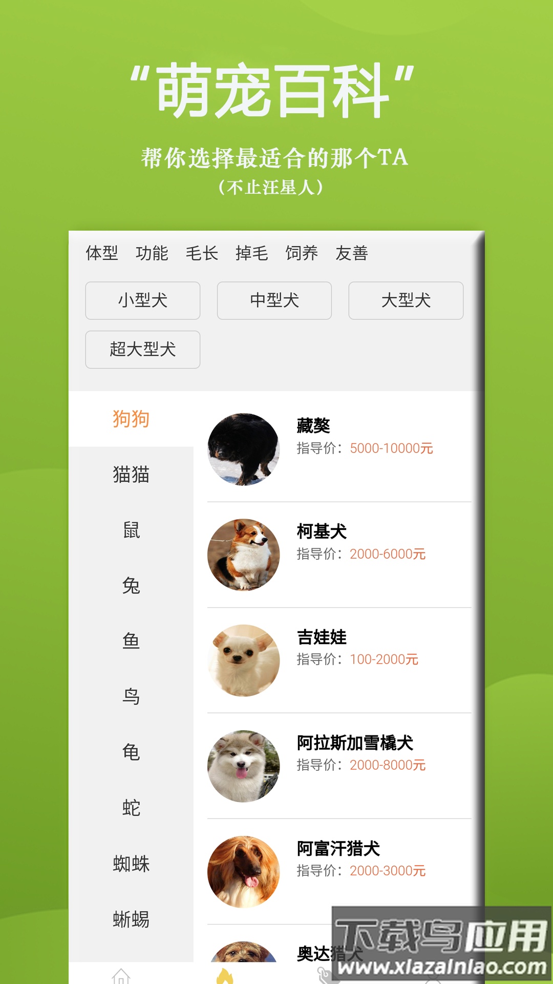 狗狗Bi商城app最新版截图1