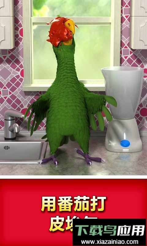 会说话的鹦鹉游戏截图1