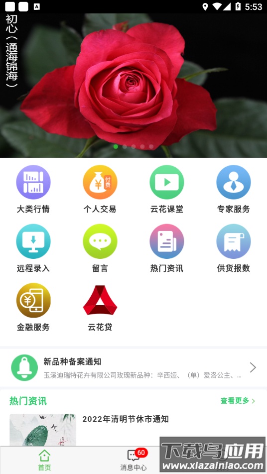 花拍服务供app最新版截图4