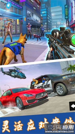 神奇小狗冒险记最新版截图2