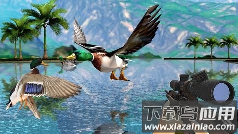 猎鸭挑战最新版截图1