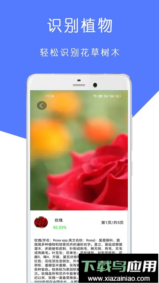 植物识别王官方版截图1
