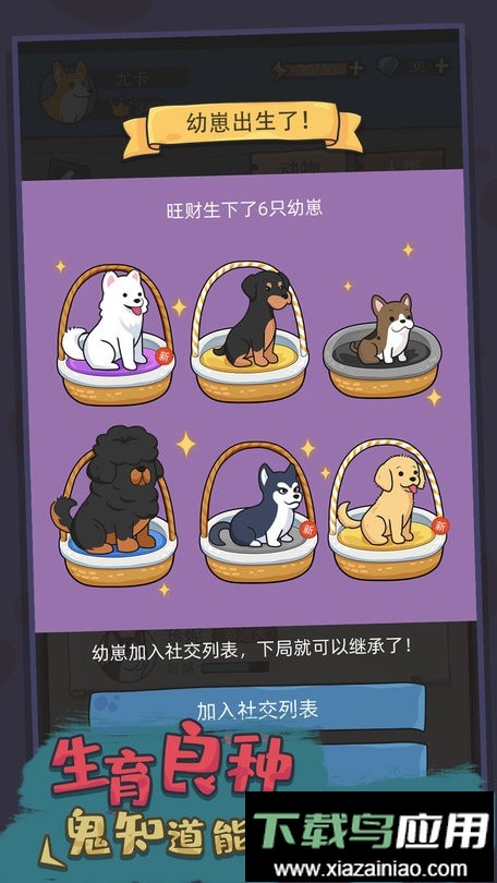 狗生模拟器官方版游戏(Dog Simulator)截图3