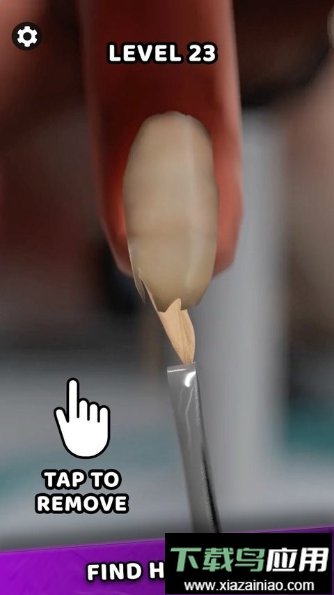 法医大师中文版(Forensic Master)截图3