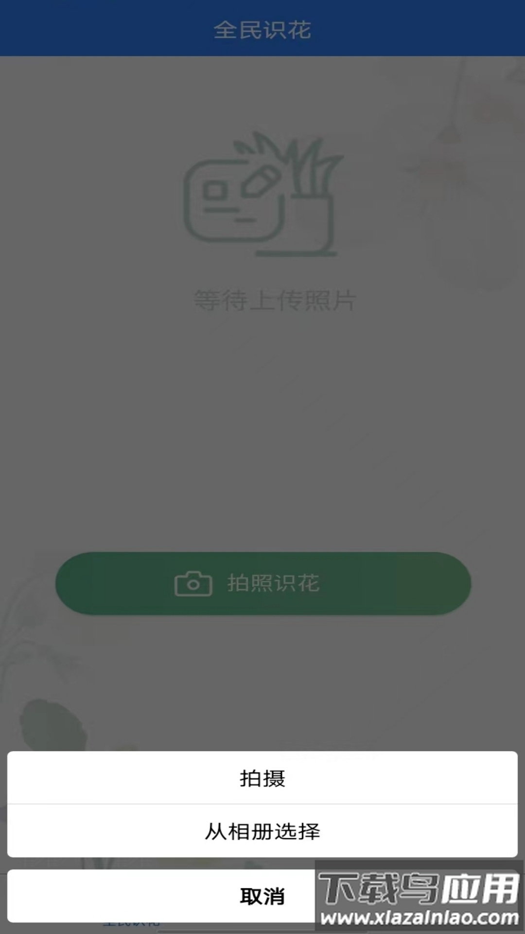 全民识花app下载最新版截图2