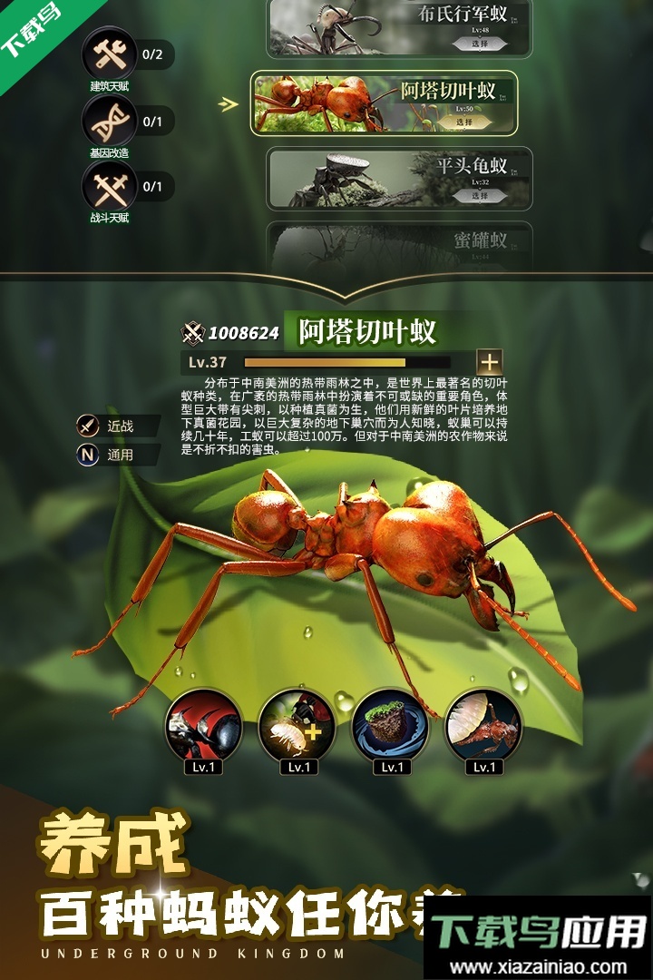 小小蚁国九游客户端下载截图