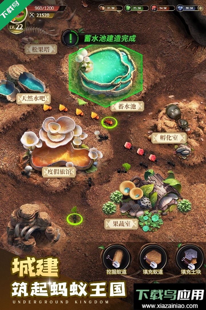 小小蚁国小米客户端下载截图