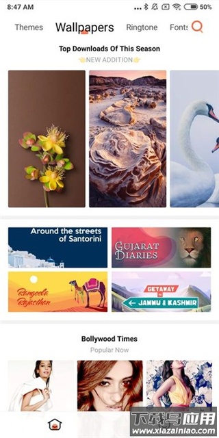 小米主题国际版app官方版截图2