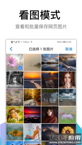 BL黑狮浏览器APP最新版截图1