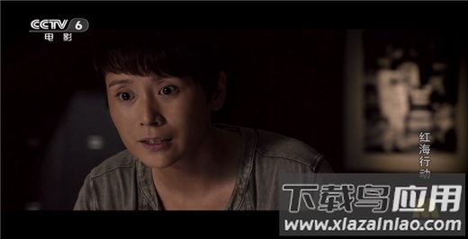 小飞电视app官方版截图4