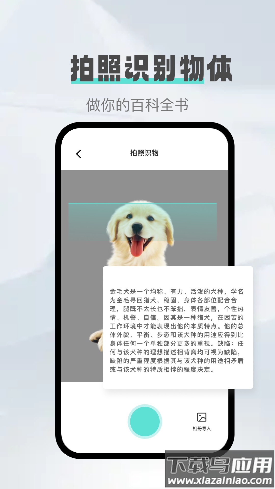 照片转文字官方版最新版截图2