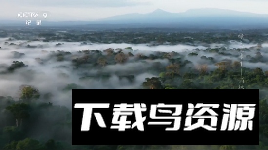 火炬DIYP电视直播TV最新版截图2