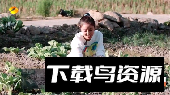 火炬DIYP电视直播TV最新版截图4