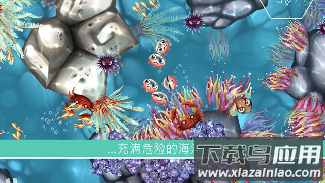 水母暗礁Jelly Reef最新版截图1