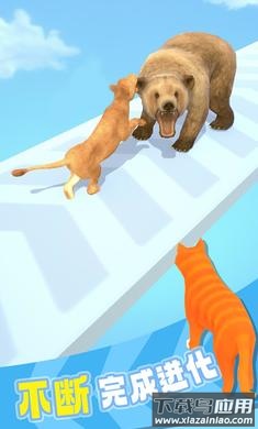 猫咪进化论截图1