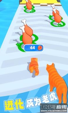 猫咪进化论截图3